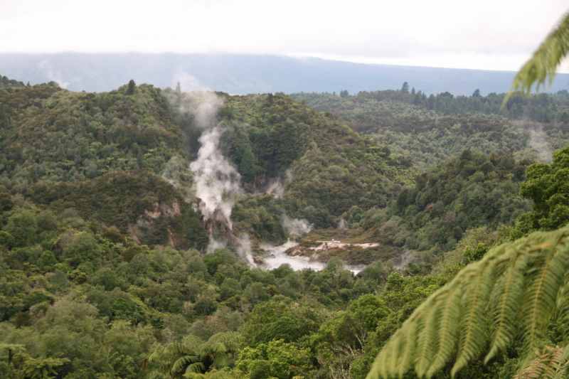 Nieuw-Zeeland 2011 - 0682